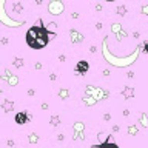 Meet your Posher, Molly